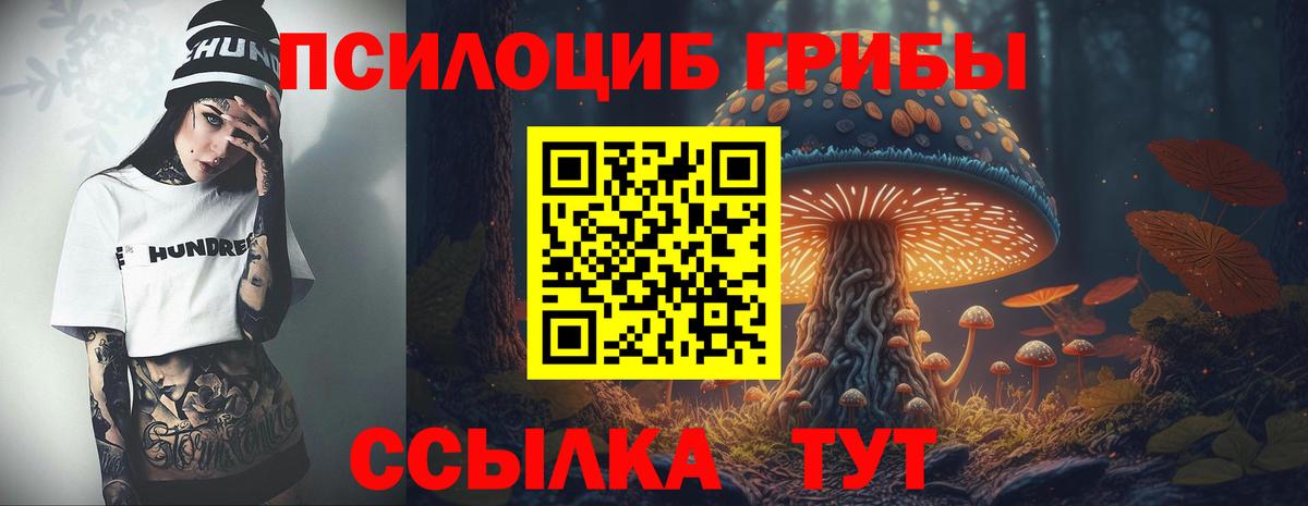 Псилоцибиновые грибы GOLDEN TEACHER Советский